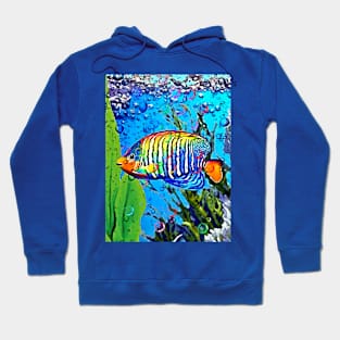 Aquarium Angelfish Hoodie